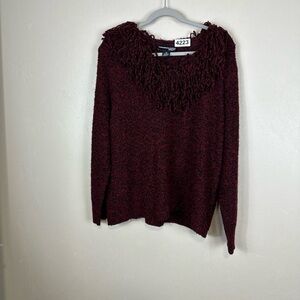 Nortonmcnaighton woman 1x nwot. Sweater.  P2p 24. Length 26   Tassels neck